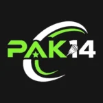 PAK14 Game: APK Download, Features, Gameplay, Login and 2026 Guide